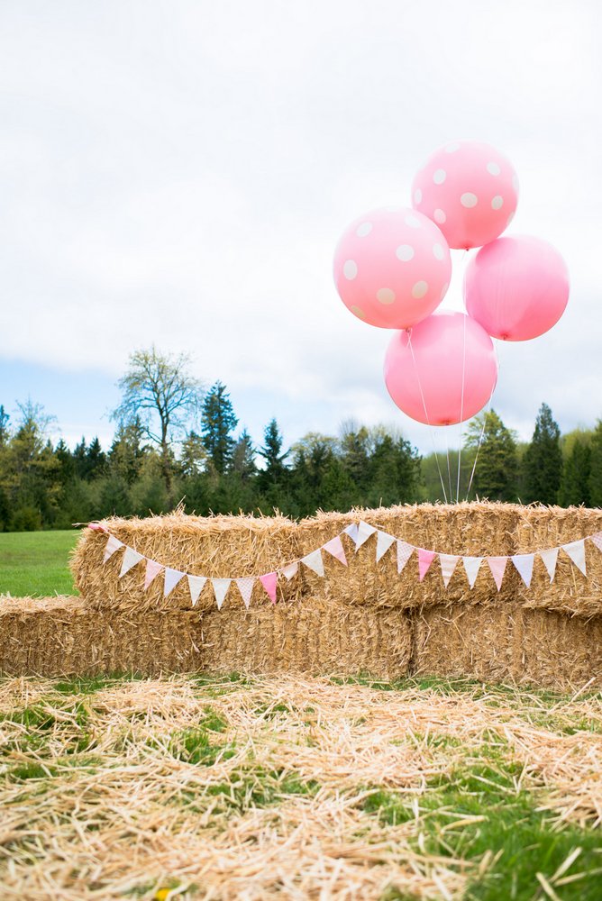 View More: http://laurenoliverpohotgraphy.pass.us/kennedys-birthday-bash