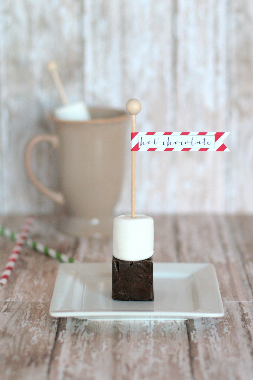 single hot chocolate on a stick with mug-003