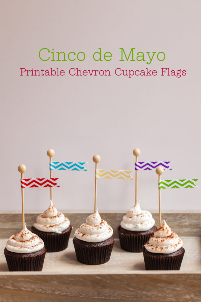 Free Printable Cinco De Mayo Flags | The TomKat Studio