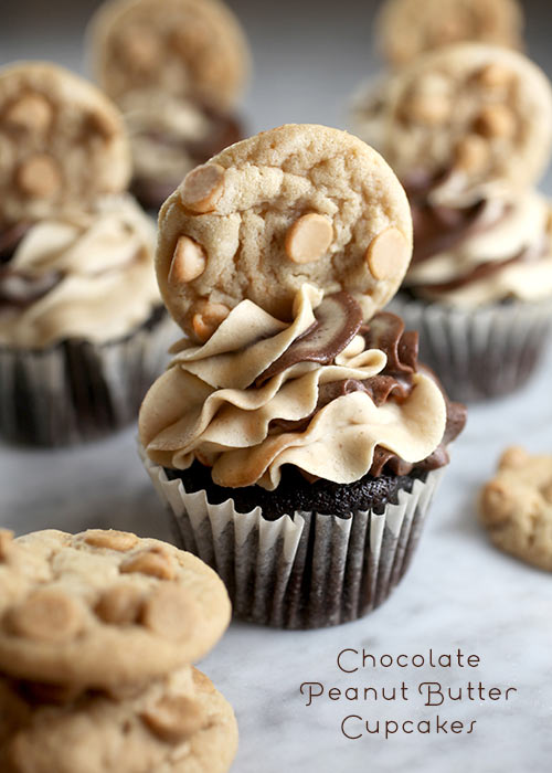 chocolate peanut butter cupcakes bakerella