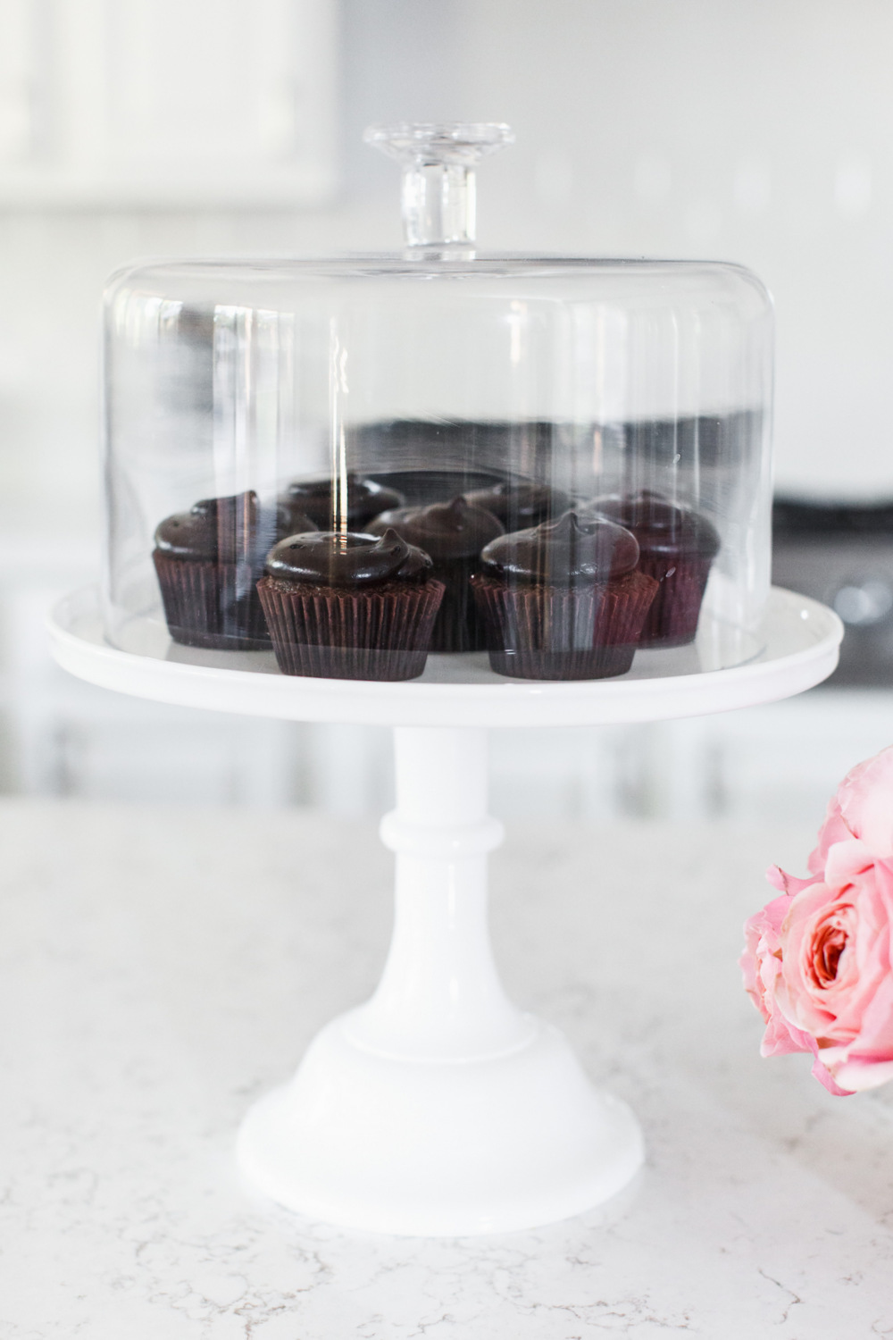 Chocolate Cupcakes on Cake Stand with Glass Dome