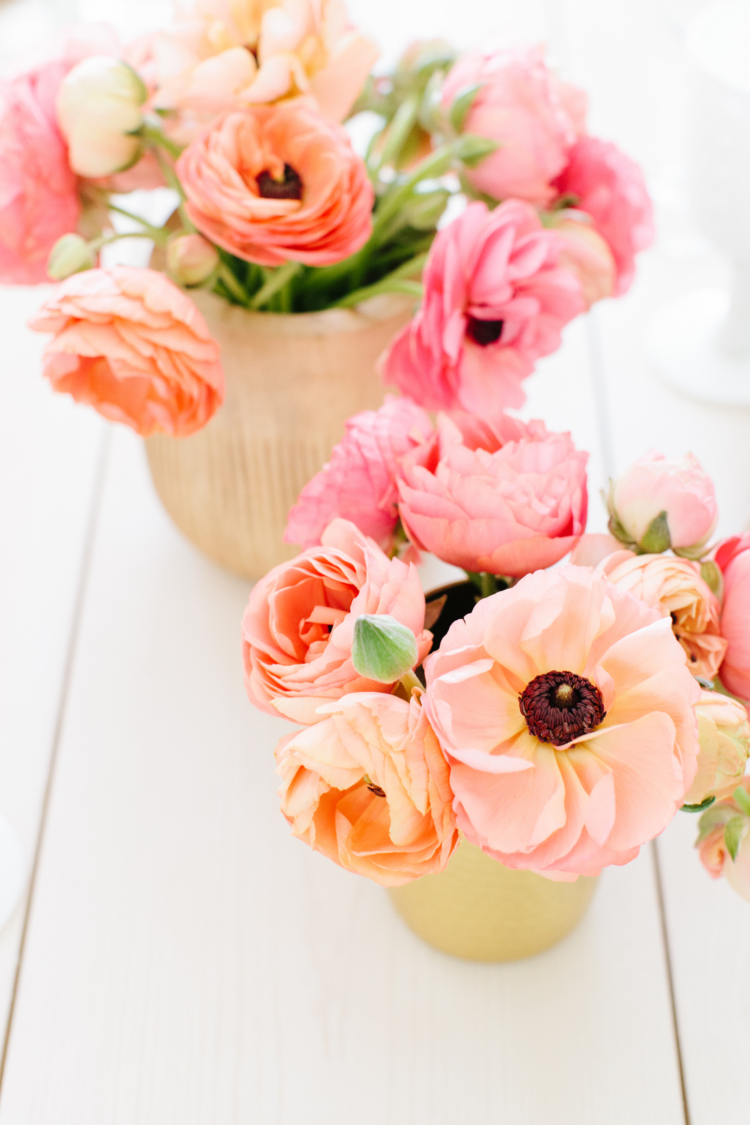 spring flowers pink and orange