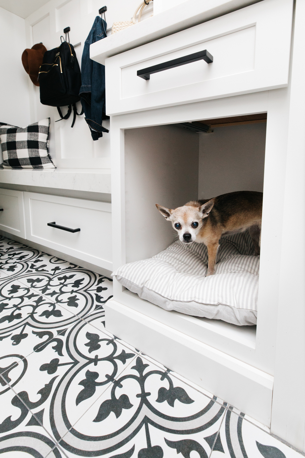 dog bed area in laundry room